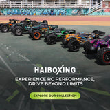HAIBOXING 18872 1/18 Brushed RC Buggy Car with 2 Batteries